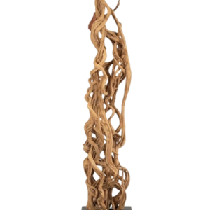 Lianas de java